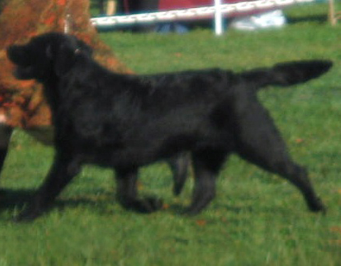 November 2009