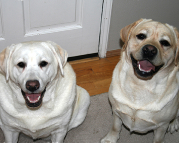 smiling sailor and cooper