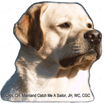 sailor