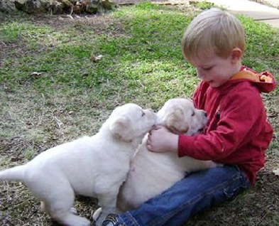 young boy with puppies