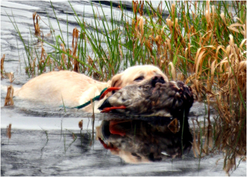 hunting photo 3