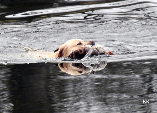 hunting photo 4
