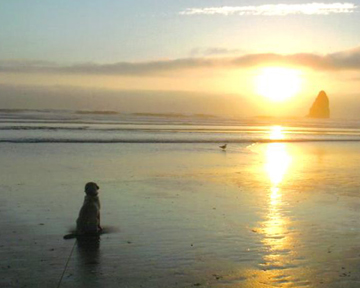 sunset photo